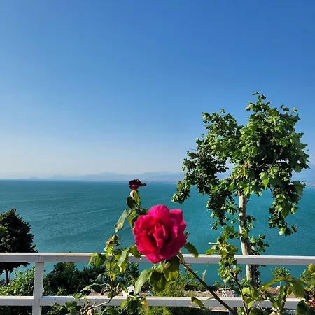 Pelikan House Σκόδρα
