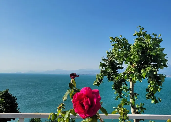 Pelikan House Shkodër