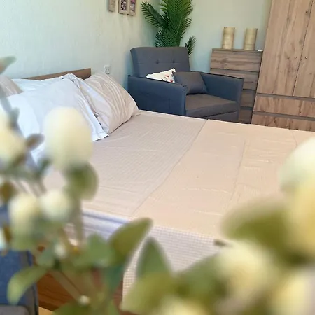 Pelikan House Σκόδρα